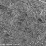 Сибирские ученые разработали щадящий метод размола волокнистой массы из биоповрежденной древесины